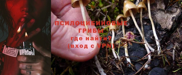 2c-b Беломорск