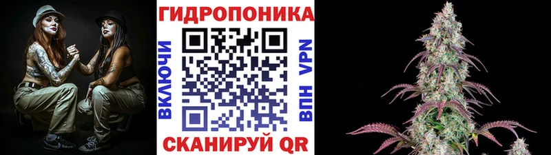 купить наркотик Кущёвская Конопля сатива